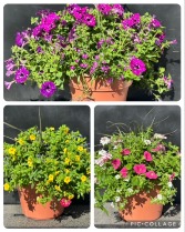 Mothers Day Patio Pots 