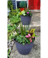  Patio Pots for summer Live Plants