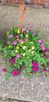  Spring Hanging Basket Plant Basket