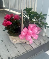 Mother's Day Plant Basket plants