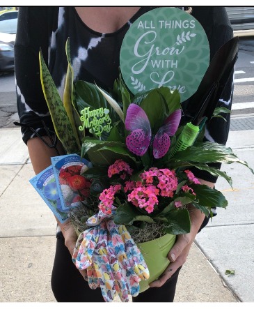 Any occassion Planter  in Ozone Park, NY | Heavenly Florist