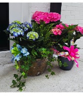 Mother's Day Planters Designer's Choice Plants