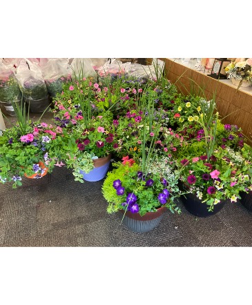 Mother’s Day plants Outside potted plants in Fairfield, OH | NOVACK-SCHAFER FLORIST