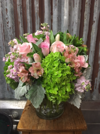 Romance Mixed tight compact