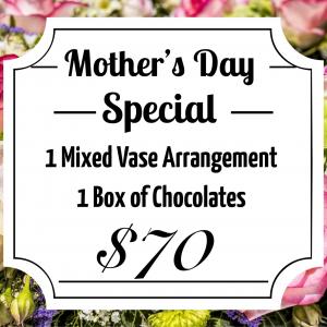 Mother's Day Special in Mount Pearl, NL | MOUNT PEARL FLORIST Mother's Day Special in Mount Pearl, NL | MOUNT PEARL FLORIST
