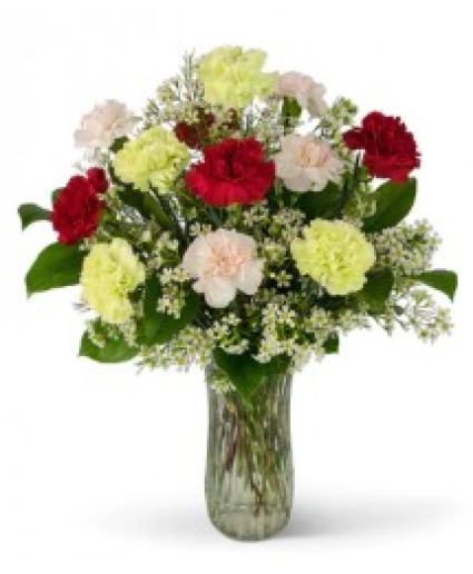 Mother's Day Special B Glass vase of Dozen Carnations