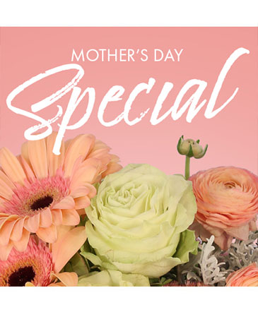 Mother's Day Special Designer's Choice in Edmonton, AB | Little Daisy Blooms & Balloons