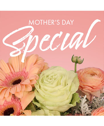 Mother's Day Special Designer's Choice in Burton, MI | FENNER'S FLORAL & DESIGN COMPANY Mother's Day Special Designer's Choice in Burton, MI | FENNER'S FLORAL & DESIGN COMPANY