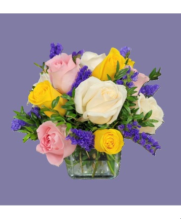  Dozen Multi color  Rose Cube Cube vase arrangement in Watertown, MA | WATERTOWN FLORIST SHOP
