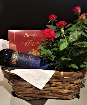 MOTHER'S DAY SPECIAL #2 Mini rose bush, RED wine and chocolates