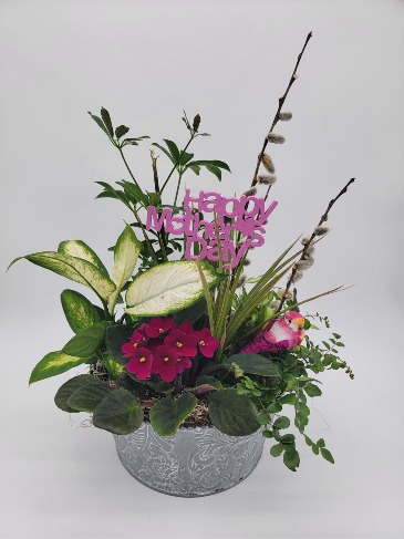 Mother's Day Special Planter  in Silverton, OR | Julie's Flower Boutique