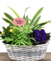 Mother's Day Wicker Planter 