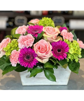 Mother's Delight 