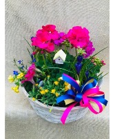 Garden Plants Basket Blooming Garden Plants