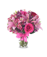 MOTHERS ROSE 