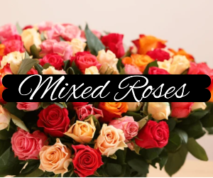 Motley Roses Arranged Roses