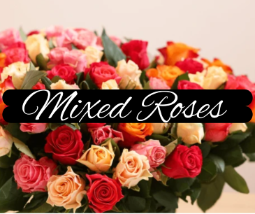 Motley Roses Arranged Roses in Seattle, WA | Neilsen Florist