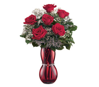 MOULIN ROUGE ROSES