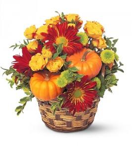 Mounded Basket HF794