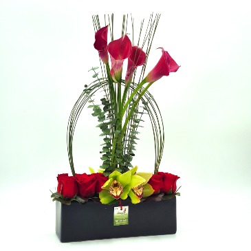 Amor Creativo Everyday in San Juan, PR | ELIKONIA FLOWERS Amor Creativo Everyday in San Juan, PR | ELIKONIA FLOWERS