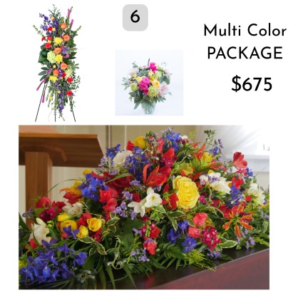 Multi Color Funeral Funeral Package 