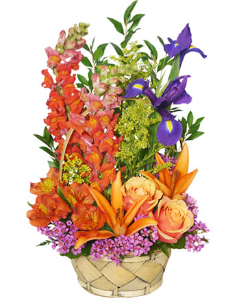 Multi-Color Memories Flower Arrangement in Miami, FL | FLOWERTOPIA