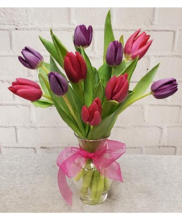 Multi Color Spring Tulip  in Charlotte, NC | Flowers Plus