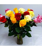 Multi-colored long stem roses Fresh flowers