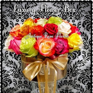 Multi Rose Luxury Flower Box Anniversary