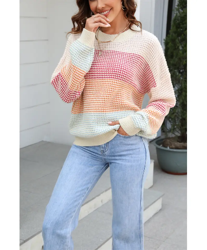 Multicolor Knit Sweater 