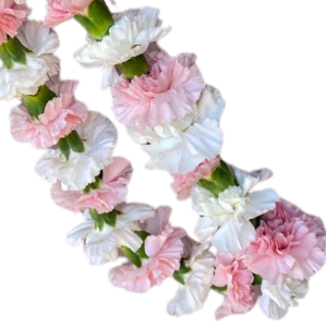 Multicolored Carnation Lei Lei