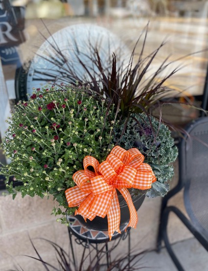 Mum Mixed Fall Outdoors Planter 