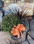 Mum Mixed Fall Outdoors Planter 