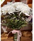 Mum's is the word Mother's day Special