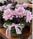 Mum's is the word Mother's day Special