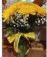 Mum's the word Mother's day Special