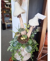 Mushroom arrangement Arrangement 