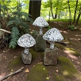  Mushroom Garden Decor 