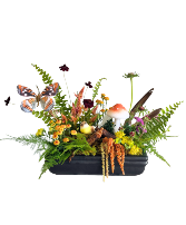 Mushroom Hollow Powell Florist Exclusive