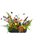 Mushroom Hollow Powell Florist Exclusive