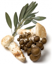 Mushroom & Sage Infused Olive Oil 