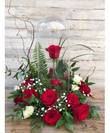 My Beauty Arrangement in Largo, FL | Rose Garden Florist