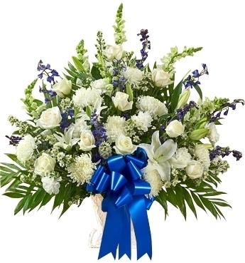 My Blue Feelings