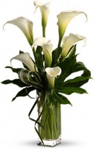 MY FAIR LADY ARRANGEMENT