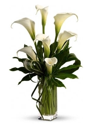 MY FAIR LADY ARRANGEMENT