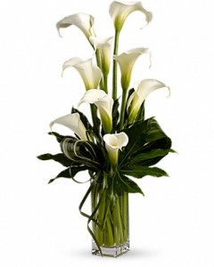 My Fair Lady Calla Lily Bouquet