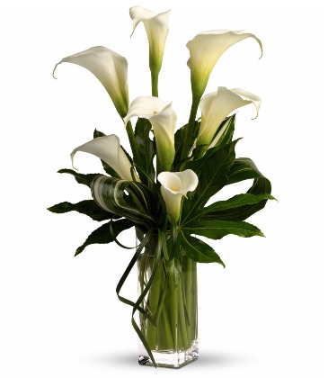 My Fair Lady   T83-1  in Fort Worth, TX | DAVIS FLORAL DESIGNS
