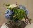 My Favorite Hydrangeas Vase Arrangement
