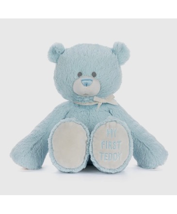 My First Teddy - Baby Boy Blue  16” stuffed animal  in Lompoc, CA | BELLA FLORIST AND GIFTS