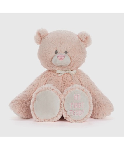 MY FIRST TEDDY - BABY GIRL PINK 16” Stuffed Animal 